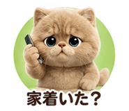 853359434