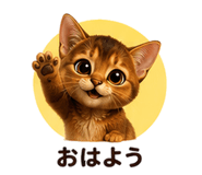 853359641