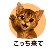 853359653