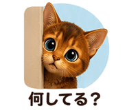 853359663
