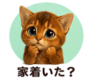 853359666