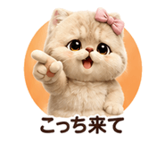 853360333