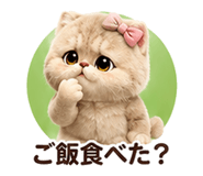 853360340