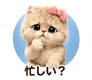 853360342