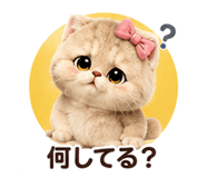 853360343