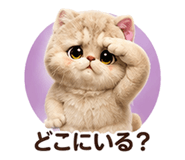 853360344