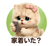 853360346