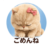 853360347