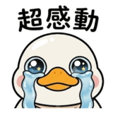 853360561