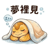 853360953