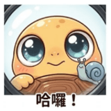 853360954