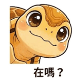 853360975