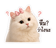 853360989