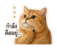 853360990