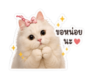 853360991
