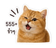 853360992