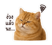 853360995