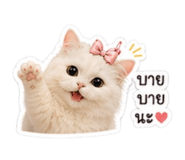 853360997