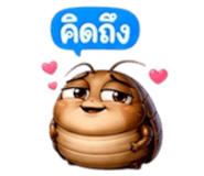 853361778