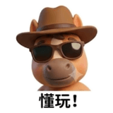 853362505