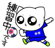 853364405