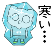 853364428