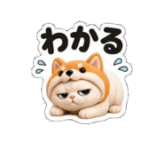 853364814