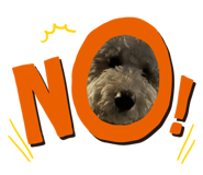 853365829