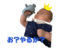853366233
