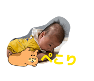 853366236