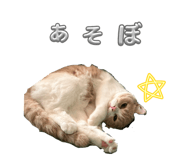 853366298