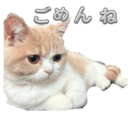 853366299