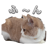 853366304