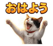 853366385