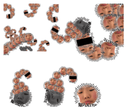 853366550