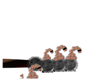 853366551