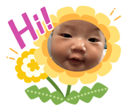 853366688
