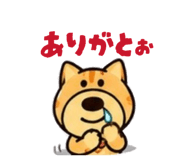 853366730