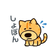 853366735