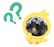853367160