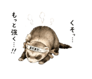 853367501