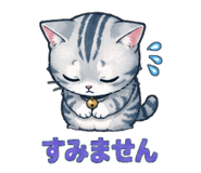 853367555