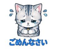 853367556
