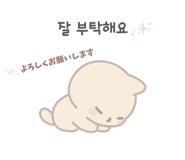 853367904