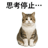 853368394