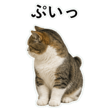 853368400