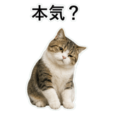 853368401