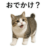 853368405