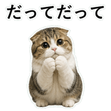 853368407