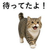 853368416
